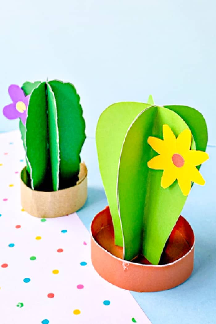 2 3D Paper Cacuts with cactus flowers