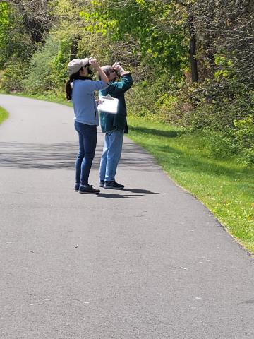 Join us for a Guided Bird Walk
