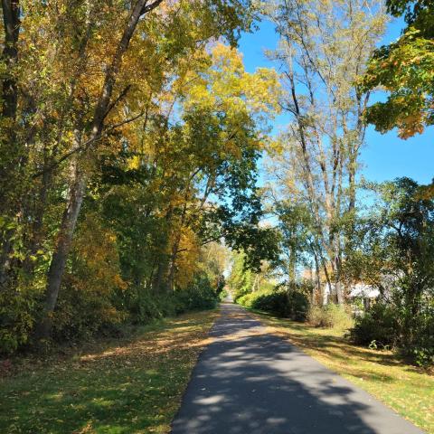 Walk the Rail Trail on Thursday mornings at 9:30 am