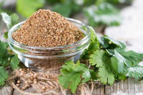 Spice of the Month for September is Coriander.