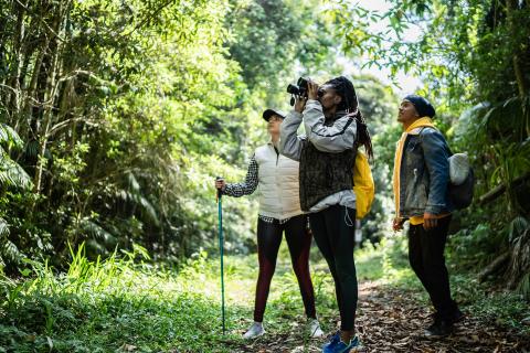 bird watchers in the woods