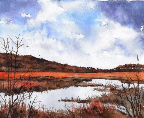 marsh watercolor painting