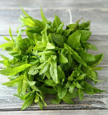 Spice of the Month for June is Mint.
