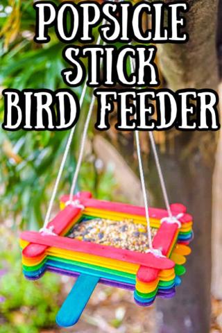 rainbow colored popsicle sticks glued together to make a square bird feeder