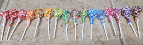 All 16 flavors of Dum Dums Lollipops lined up in color order from red to brown