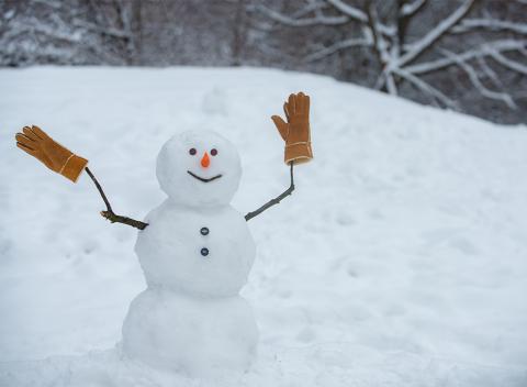 Snowman with gloves on stick arms