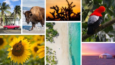 Explore our Colorful World with Chris McCormack.