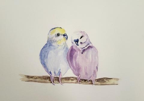 Color My World with Watercolors: Pair of Parakeets