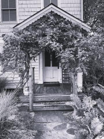 Art Reception at Top-of-the-Stairs Gallery