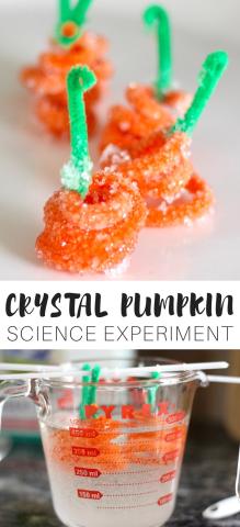 pipe cleaners shaped like pumpkins with crystals growing on them