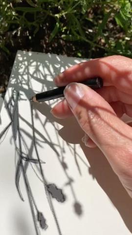 Shadow Sketching on the Rail Trail