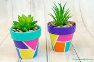 painted flower pots with succulents