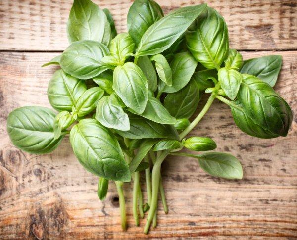 Spice of the Month for May is Basil.