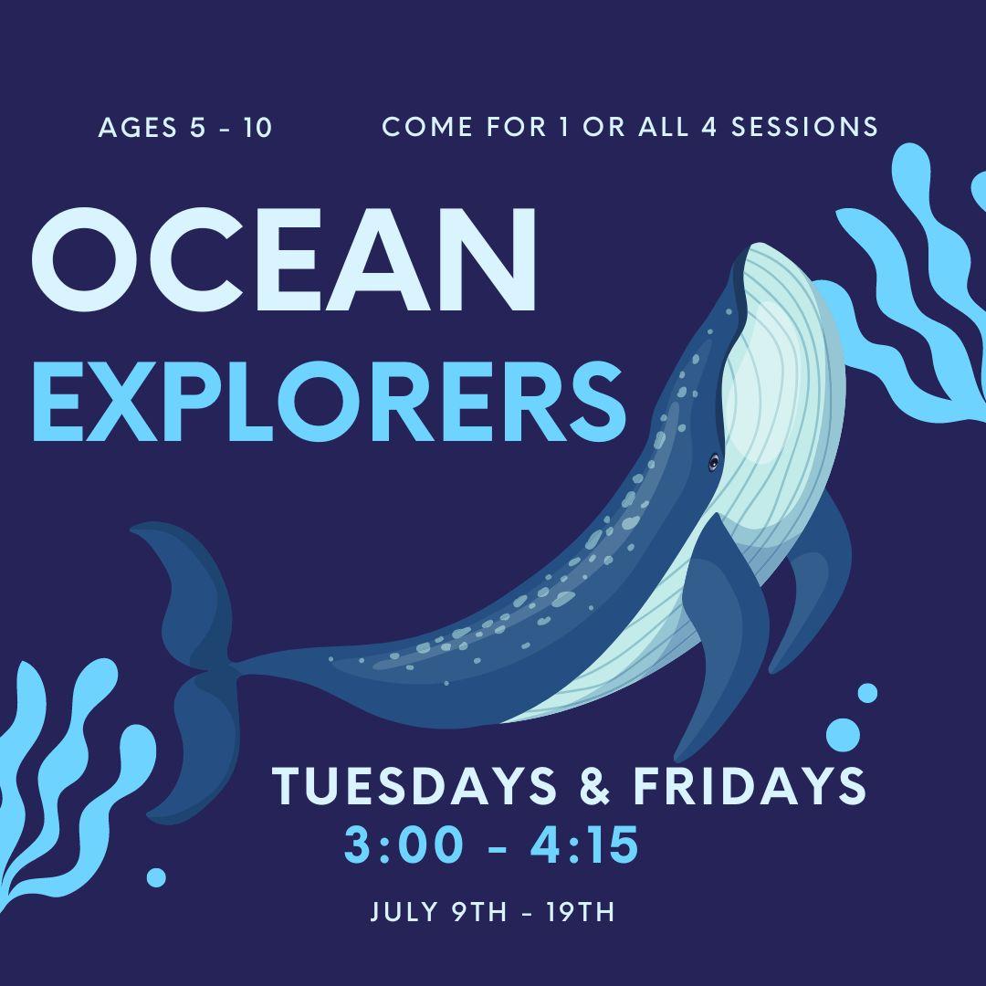 ocean explorers whale