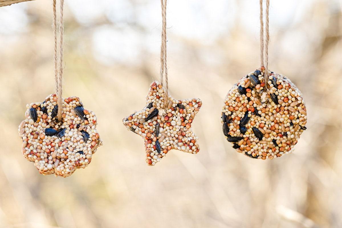 bird seed ornaments