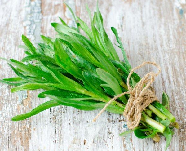 Tarragon is June's Spice of the Month.