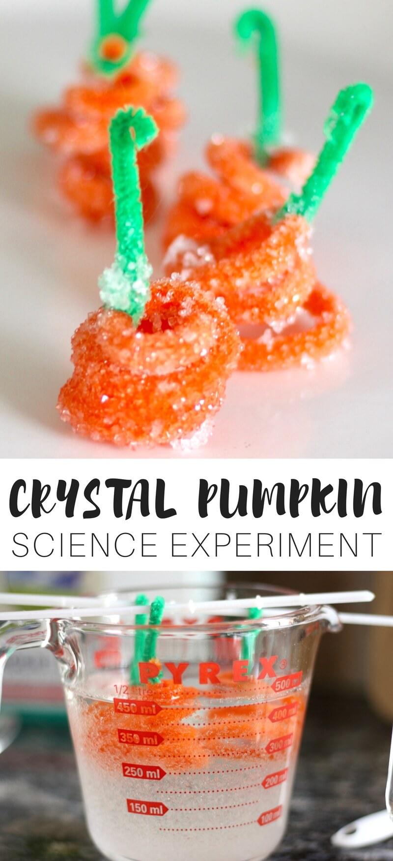 pipe cleaners shaped like pumpkins with crystals growing on them