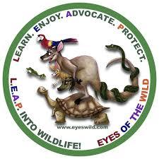 eyes of the wild logo