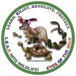 Eyes of the Wild logo